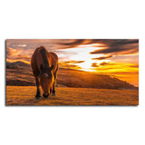 Brown Horse Eating At Sunset Premium Wall Painting - Decor Smart