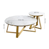 Classic White Hamilton Marble Round Coffee Table Set of 2 - Decor Smart
