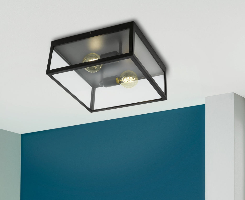 2 Bulb Steel Ceiling Light with Black Clear Glass