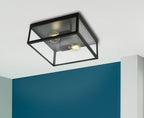 2 Bulb Steel Ceiling Light with Black Clear Glass