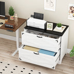 Two Drawer Filing Cabinet with Storage Top for Home Office Organization