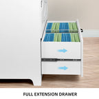 Two Drawer Filing Cabinet with Storage Top for Home Office Organization