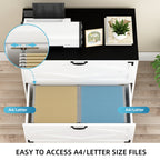 Two Drawer Filing Cabinet with Storage Top for Home Office Organization