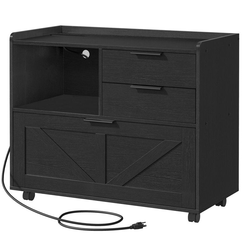 Mobile Filing Cabinet with Two Drawers and Cabinet Storage for Documents