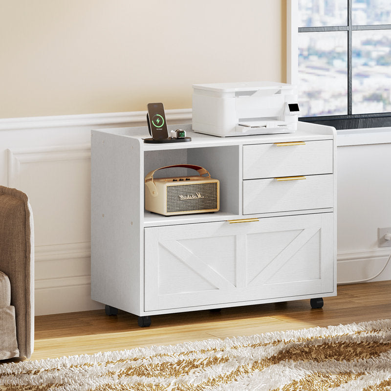 Mobile Filing Cabinet with Two Drawers and Cabinet Storage for Documents