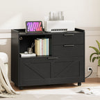 Mobile Filing Cabinet with Two Drawers and Cabinet Storage for Documents