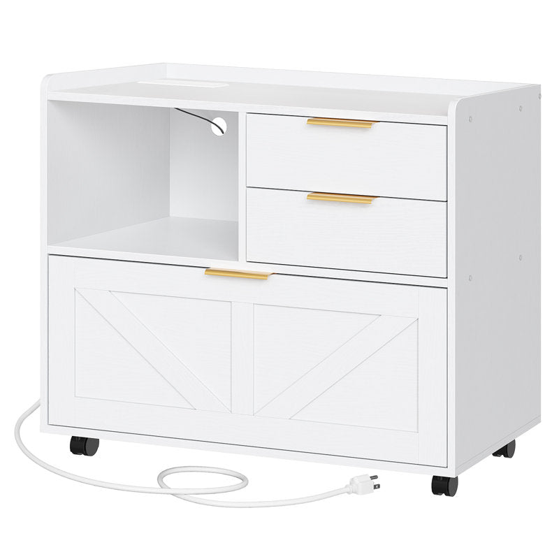 Mobile Filing Cabinet with Two Drawers and Cabinet Storage for Documents