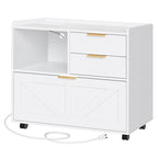 Mobile Filing Cabinet with Two Drawers and Cabinet Storage for Documents