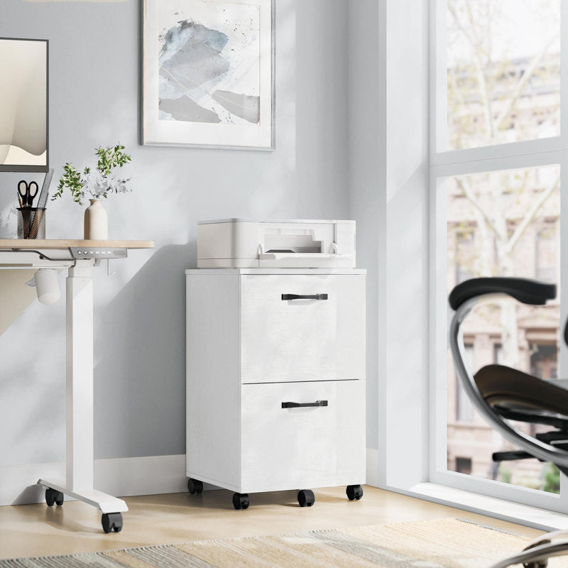 Modern Two Drawer Filing Cabinet for Office File and Document Storage