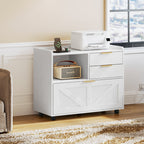 Home Office Filing Cabinet with Two Drawers Open Shelf and Storage Cabinet
