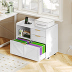 Home Office Filing Cabinet with Two Drawers Open Shelf and Storage Cabinet