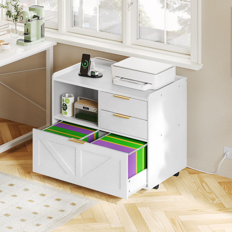 Home Office Filing Cabinet with Two Drawers Open Shelf and Storage Cabinet
