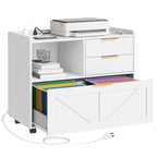 Home Office Filing Cabinet with Two Drawers Open Shelf and Storage Cabinet