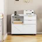 Home Office Filing Cabinet with Two Drawers Open Shelf and Storage Cabinet