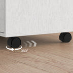 Home Office Filing Cabinet with Two Drawers Open Shelf and Storage Cabinet