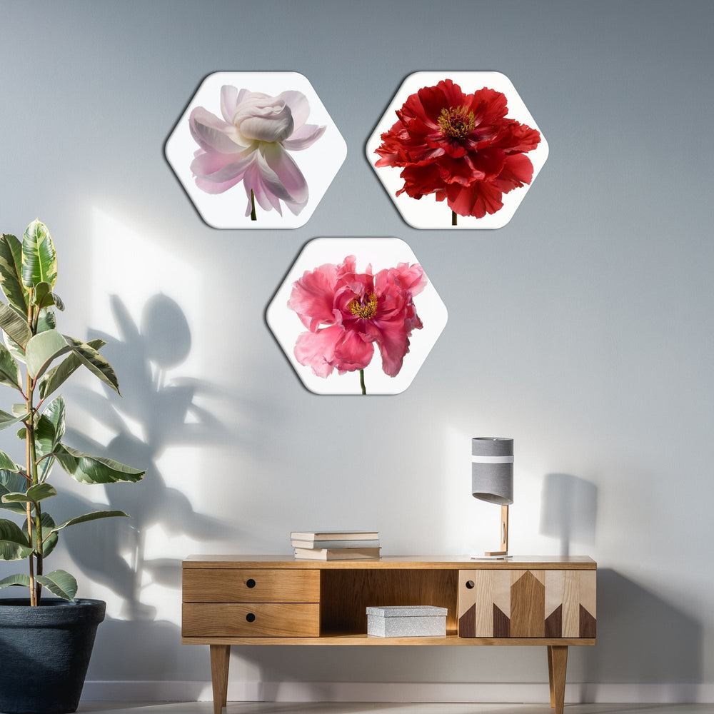 Beautiful Flowers Hexagon Painting Set of Three - decorsmart