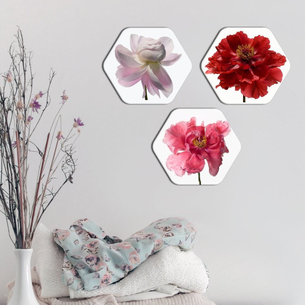 Flowers Hexagon Painting Set of Three - decorsmart