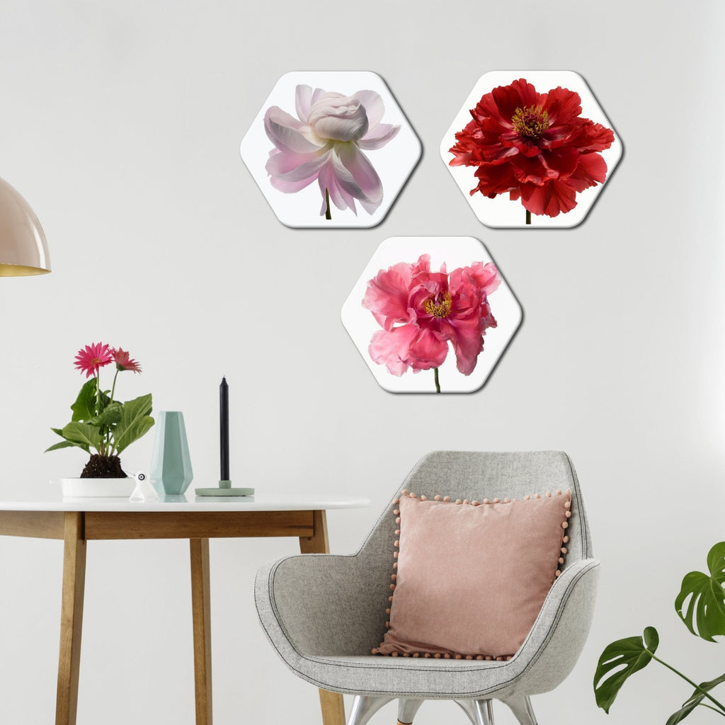 Hexagon Painting Set of Three - decorsmart