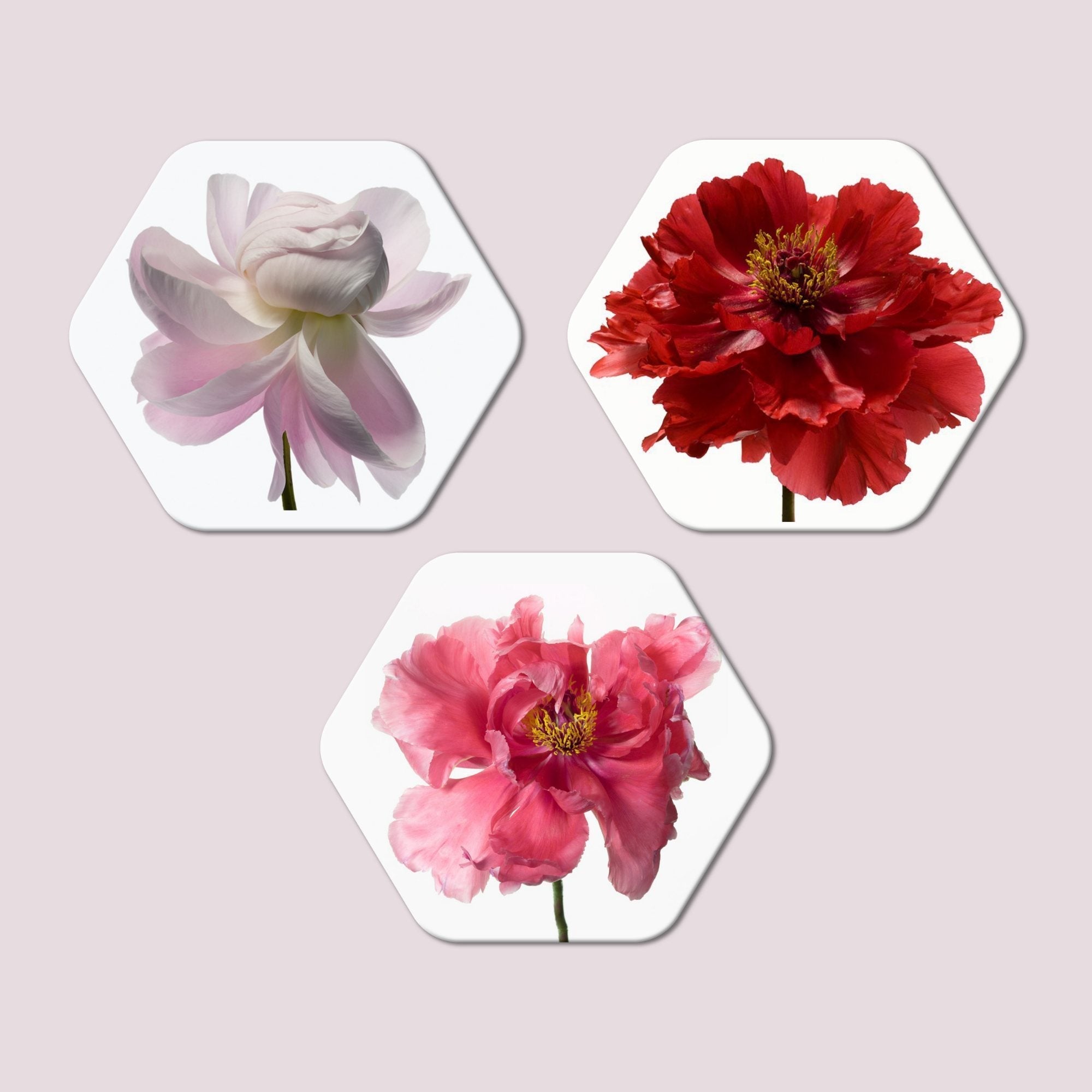 Painting Set of Three -decorsmart