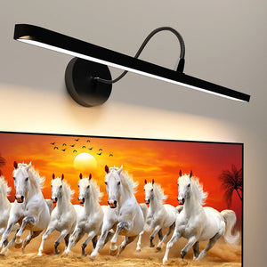 Highlight Every Detail – Pair with Our Premium Focus Light