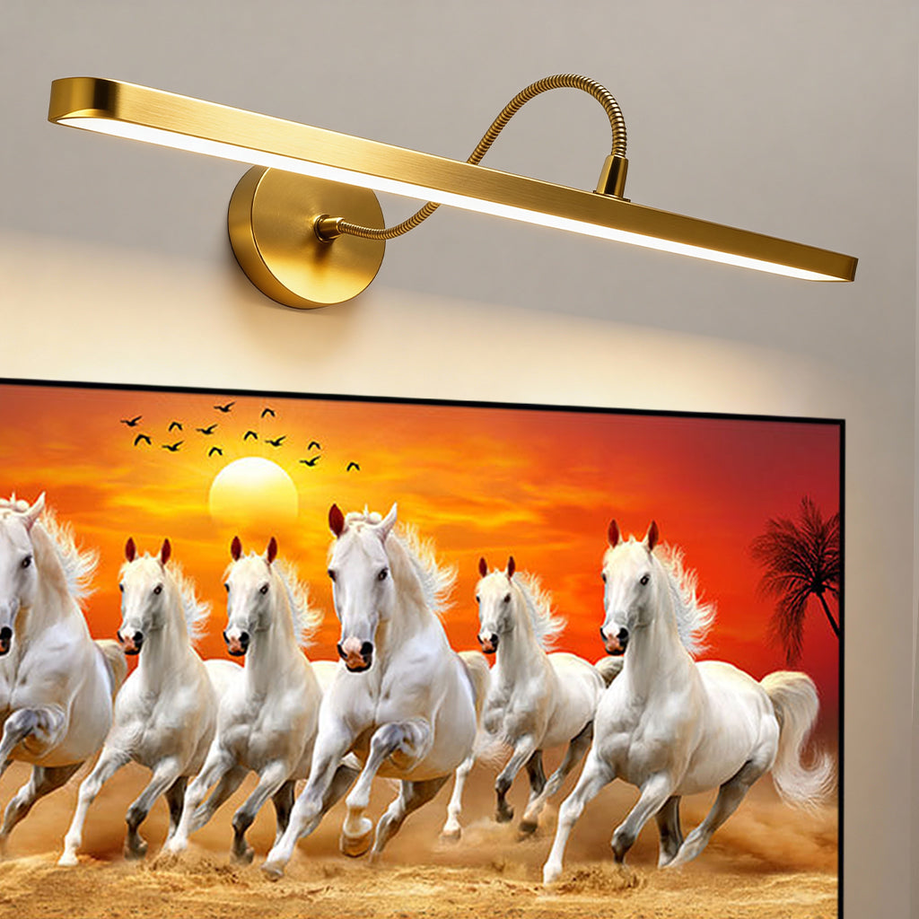 Highlight Every Detail – Pair with Our Premium Focus Light