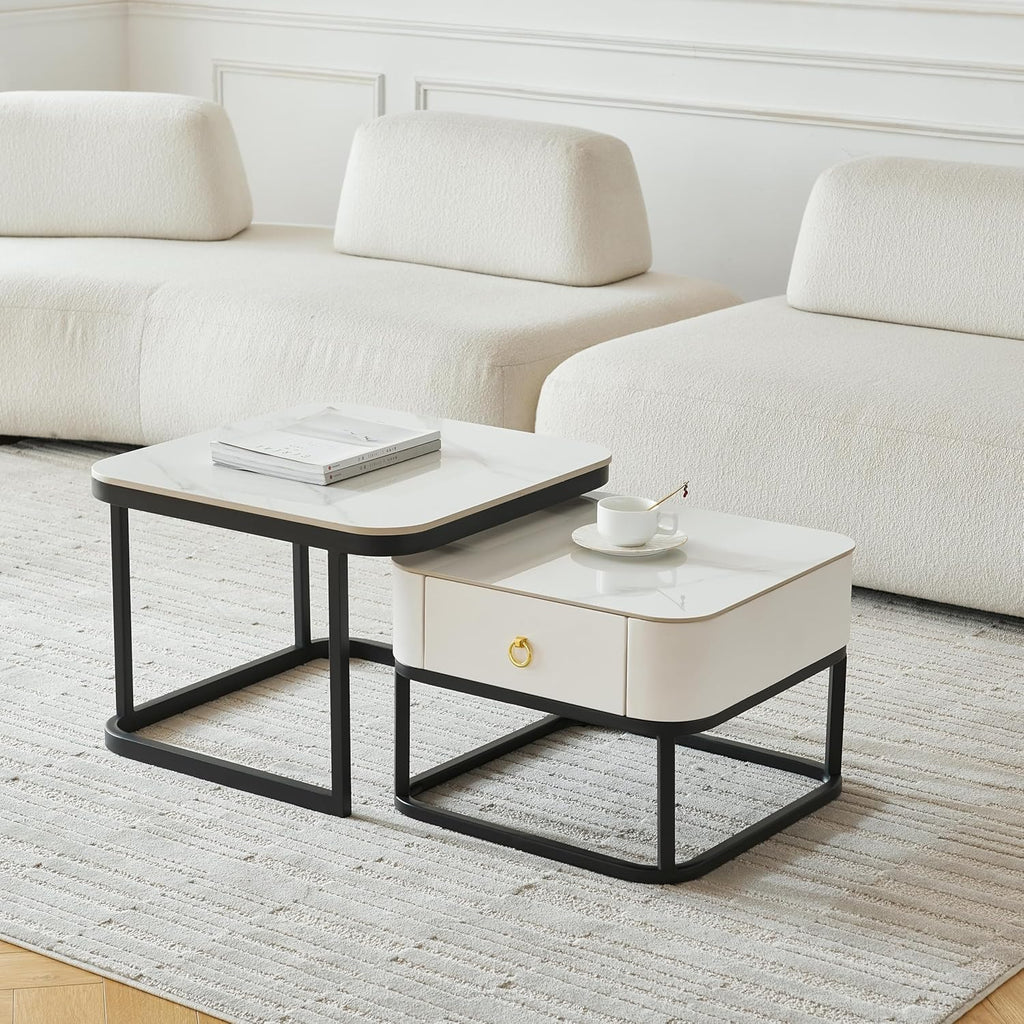 Contemporary Coffee Table Set Designed with Marble Finish Top Storage and Metal Frame