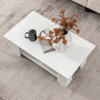 Minimalist Rectangular Coffee Table With Storage Shelf