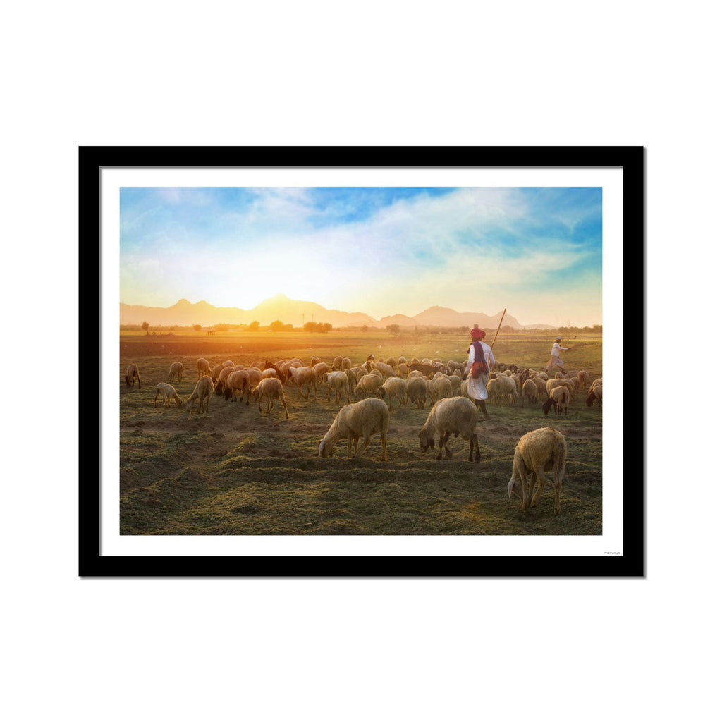 Premium Framed Wall Painting of Sheep in Village