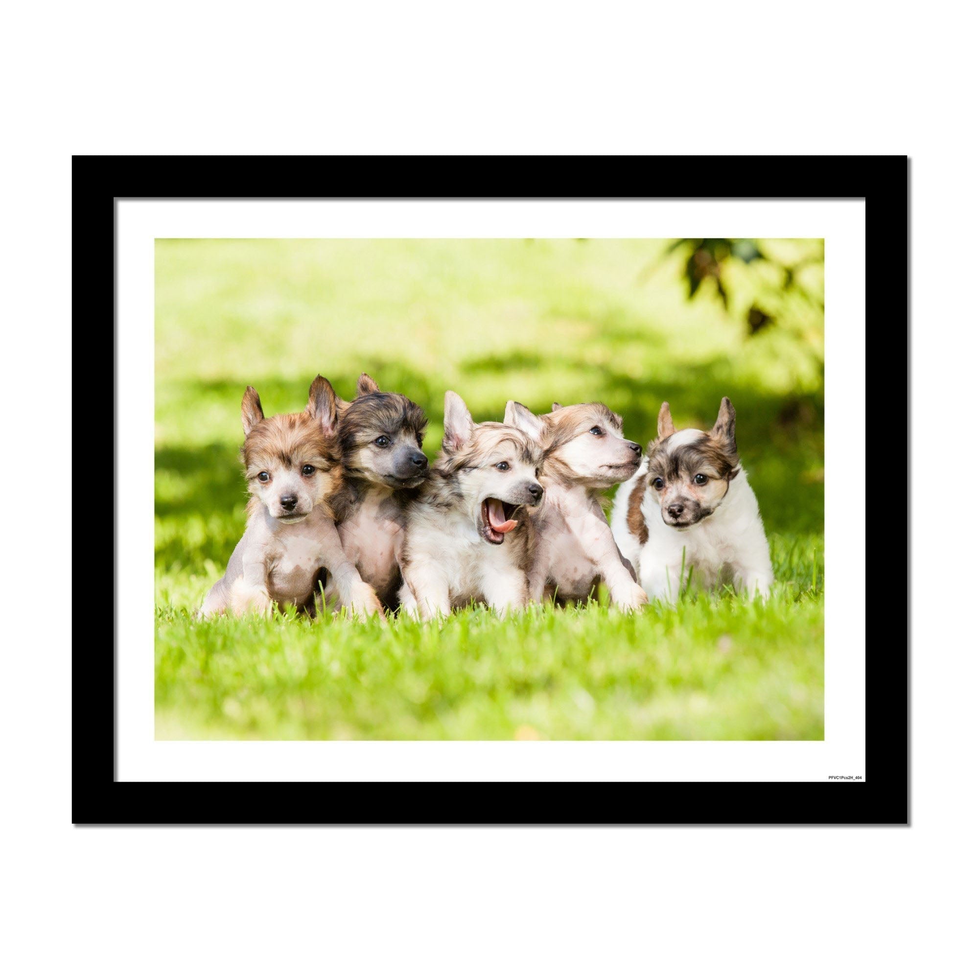 Premium Wall Frame Painting of Puppies Playing on The Grass