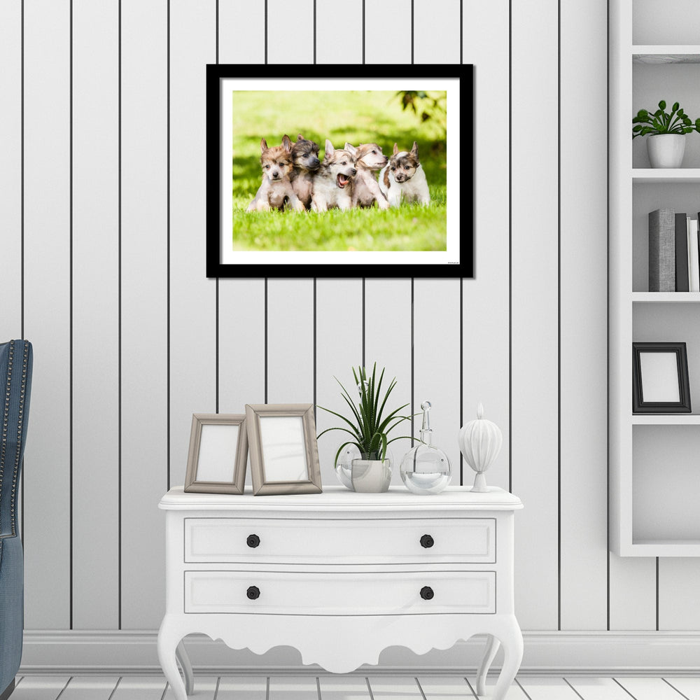 wall frame design