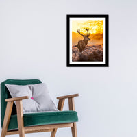 Premium Wall Frame Painting of Deer in Forest