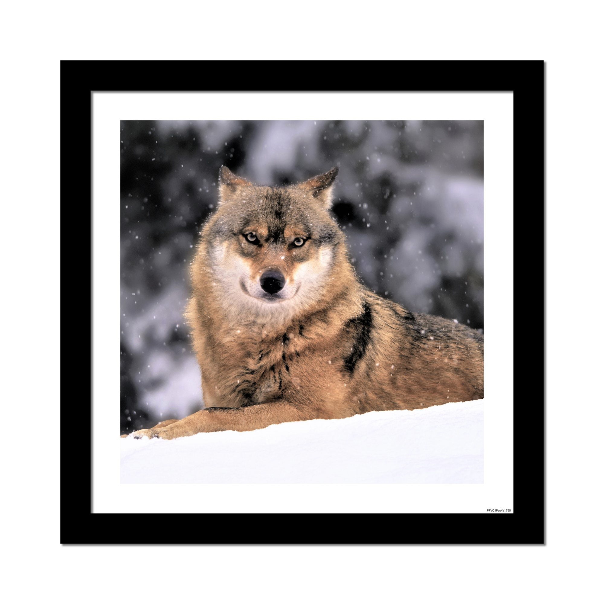 Wolf in Snow Premium Quality Wall Frame Painting