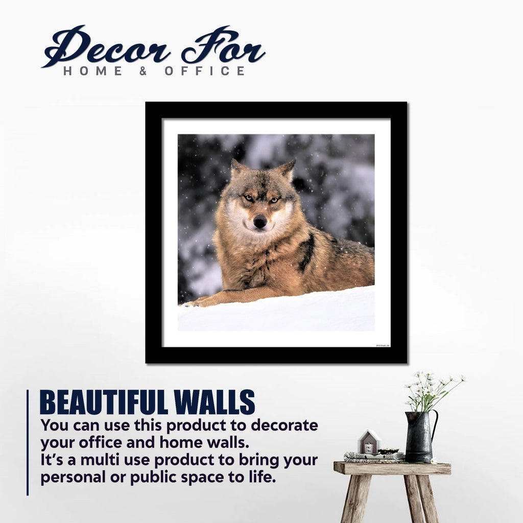 Wolf in Snow Premium Quality Wall Frame Painting