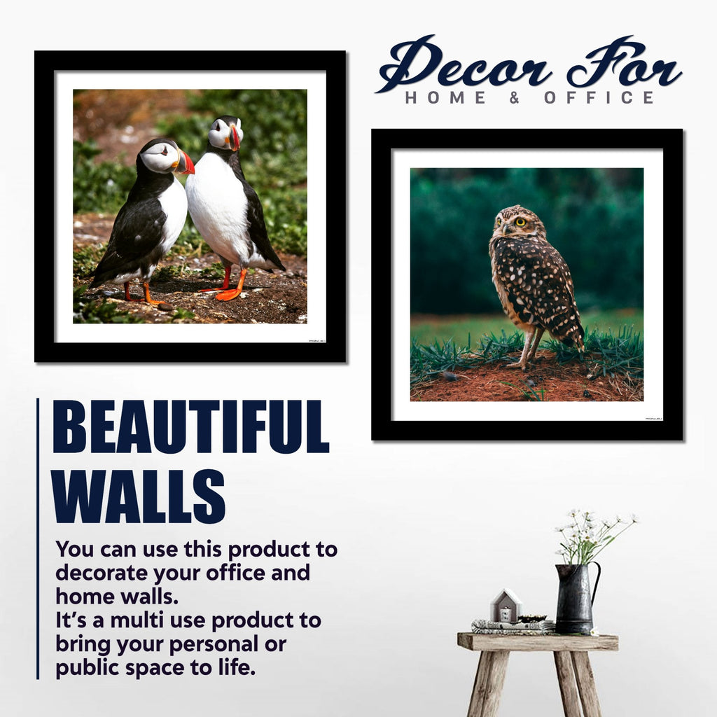 wall hanging photo frame 