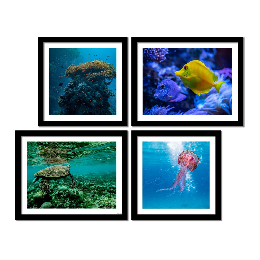 Marine Life Premium Wall Frame Hanging Set of 4