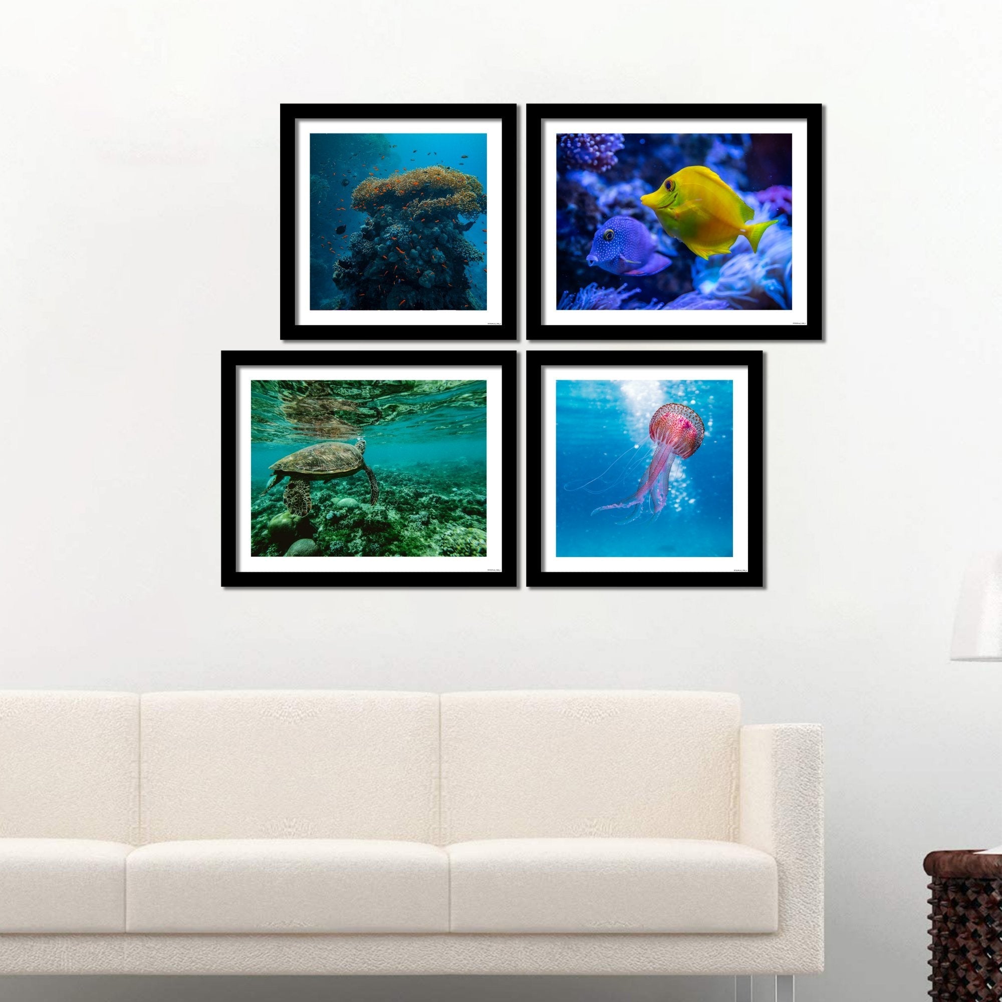 Marine Life Premium Wall Frame Hanging Set of 4