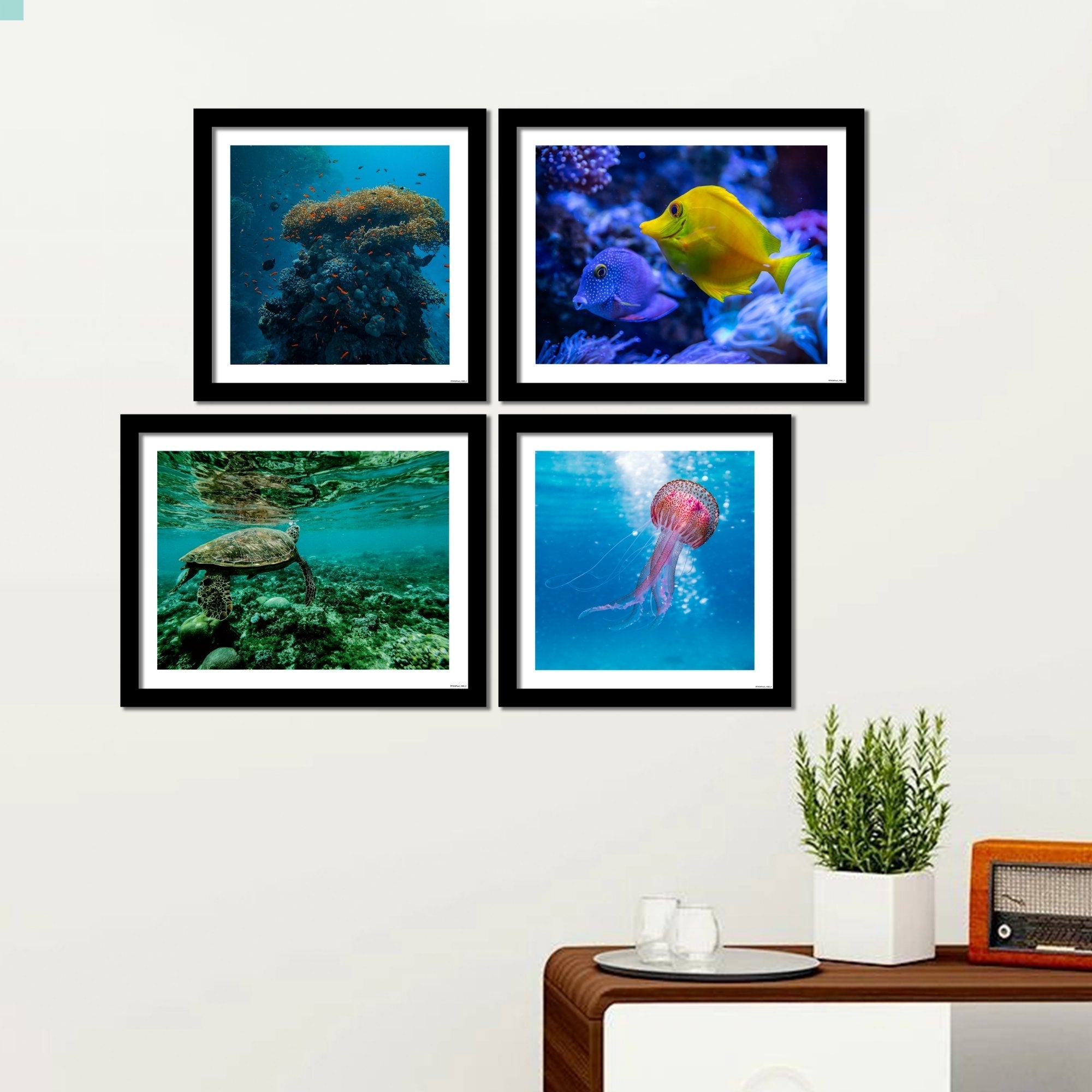 Marine Life Premium Wall Frame Hanging Set of 4