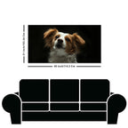 Premium Wall Painting of White and Brown Long Coat Puppy