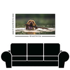 Premium Wall Painting of Dog Swimming