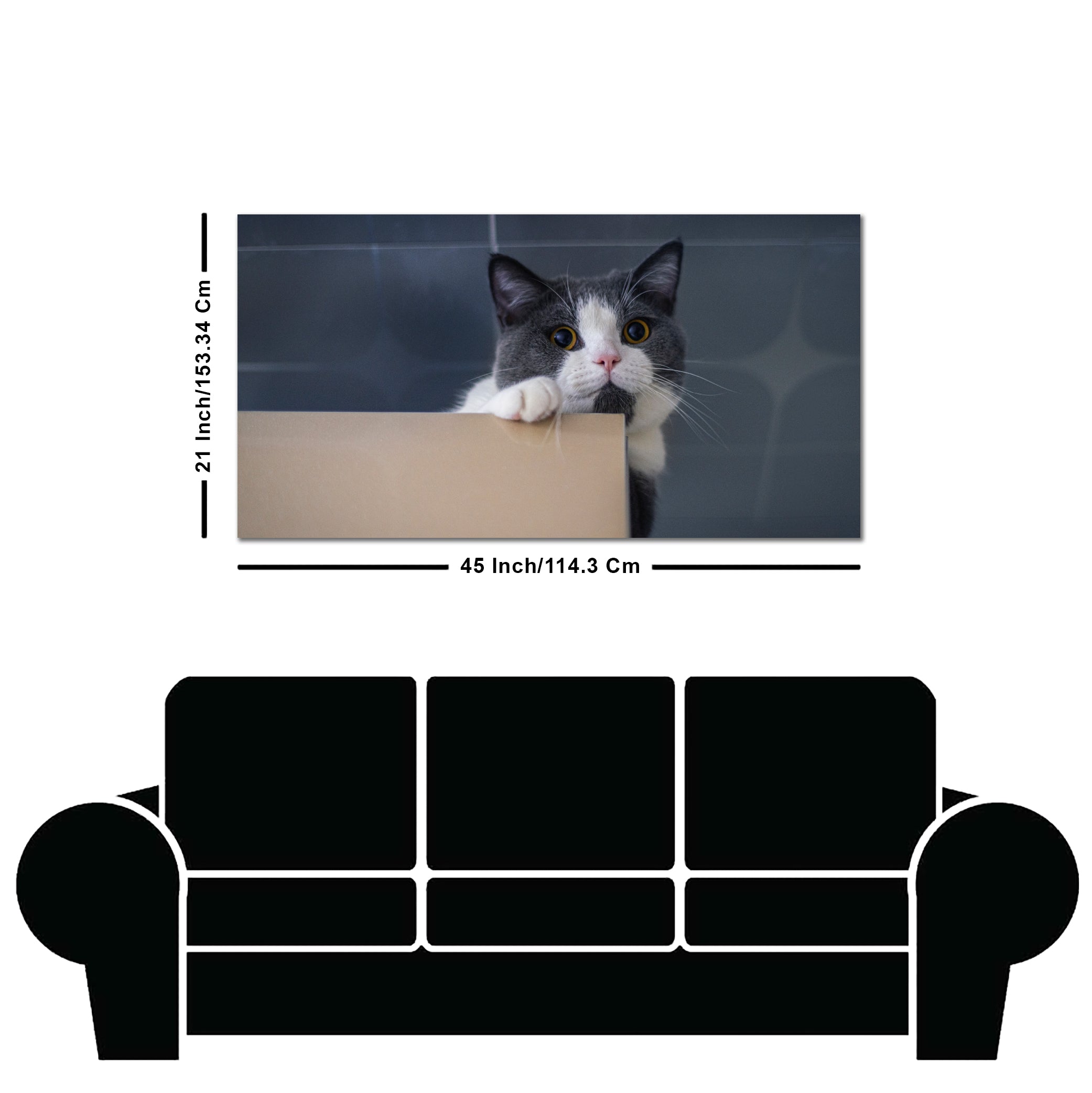 Beautiful Wall Painting of Cat Peeping Over Ledge