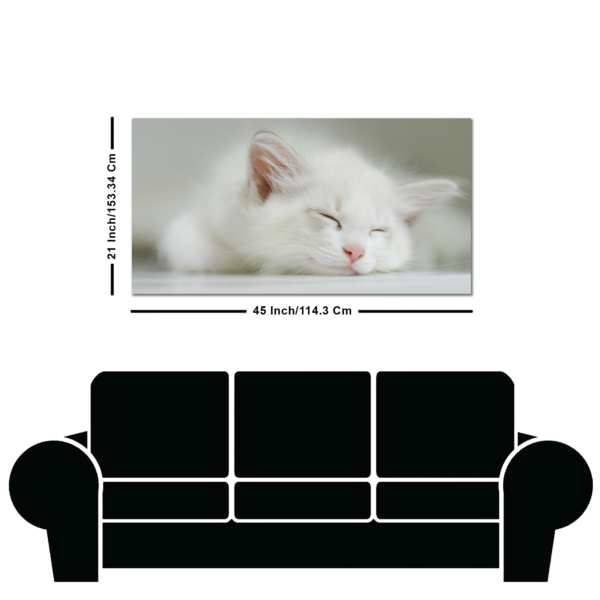 White Kitten Sleeping Canvas Wall Painting