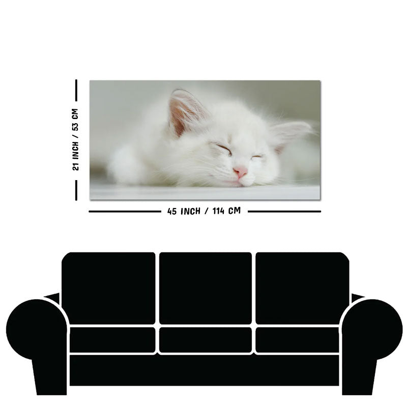 White Kitten Sleeping Canvas Wall Painting