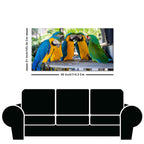 Colorful Mascaw Parrots Canvas Wall Painting