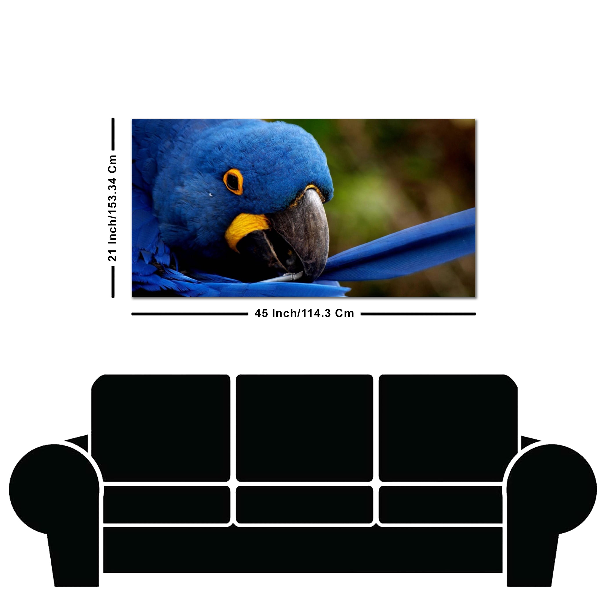 Premium Wall Painting of Blue Mascaw Parrot