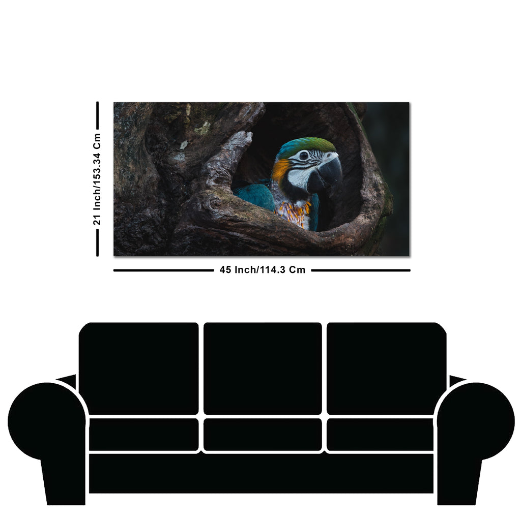 Canvas Wall Painting of Mascaw Parrot in Tree Hole
