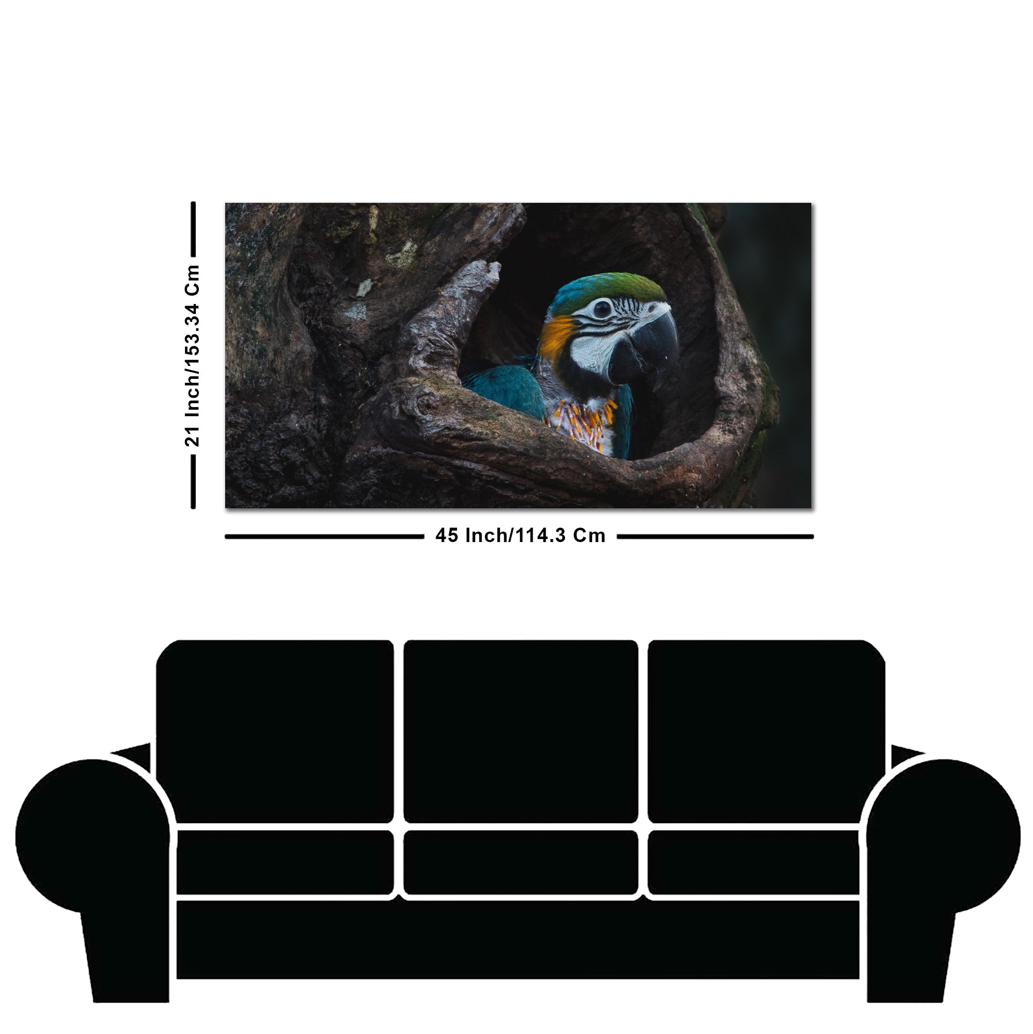 Canvas Wall Painting of Mascaw Parrot in Tree Hole