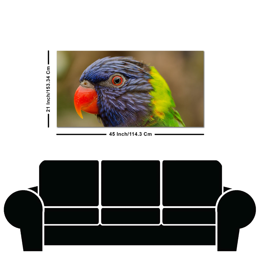 Colorful Parrot Premium Wall Painting