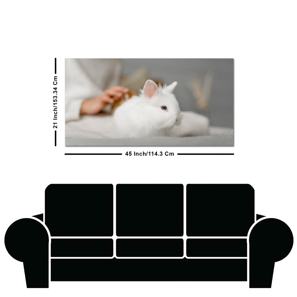 Premium Wall Painting of Cute White Bunny