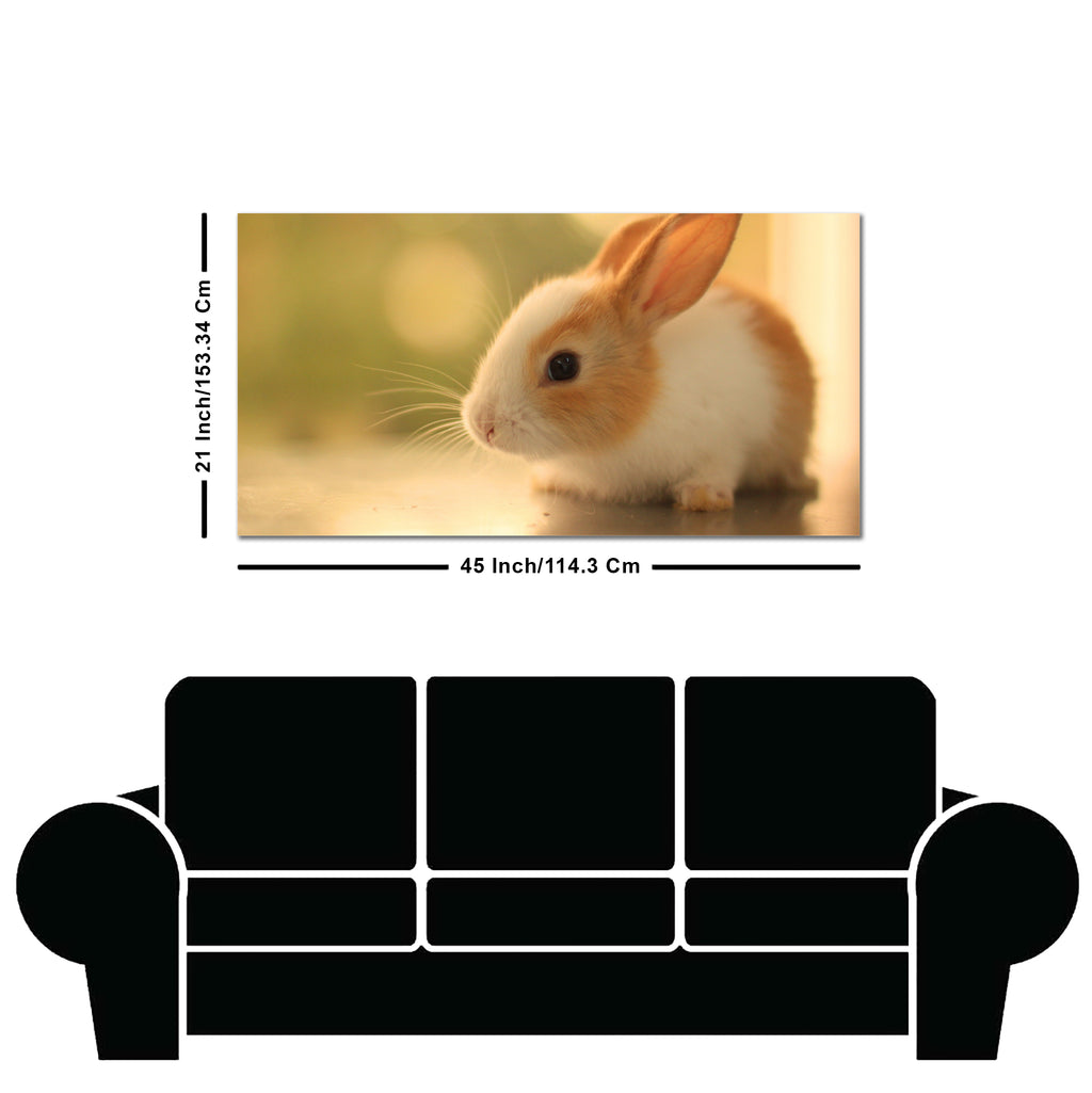 Premium Canvas Wall Painting of Cute White & Brown Bunny