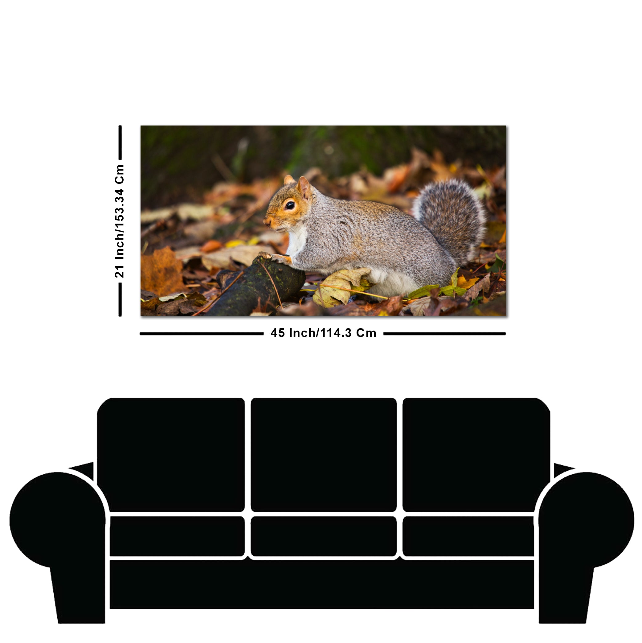 Canvas Wall Painting Squirrel in The Forest